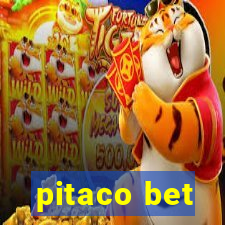 pitaco bet